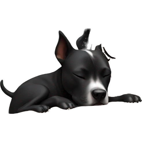 Girl sleeping with a black pitbull  emoji