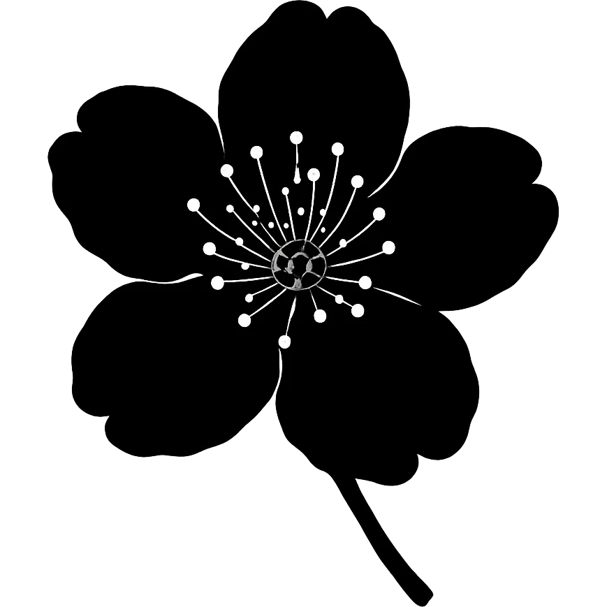 show  one black cherry blossom, remove background emoji