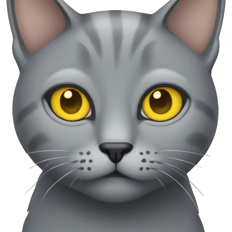 grey cat with yellow eyes emoji