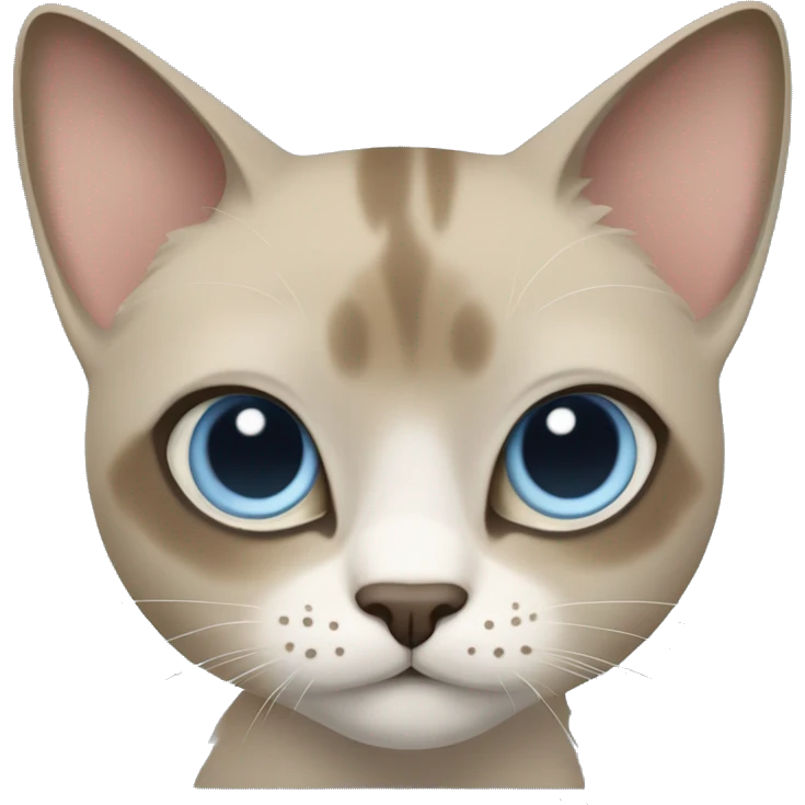 Thai breed cat with a light cream -brown body, dark gray-brown face, ears, and paws. Short fur, sharp ears, striking light blue eyes  emoji