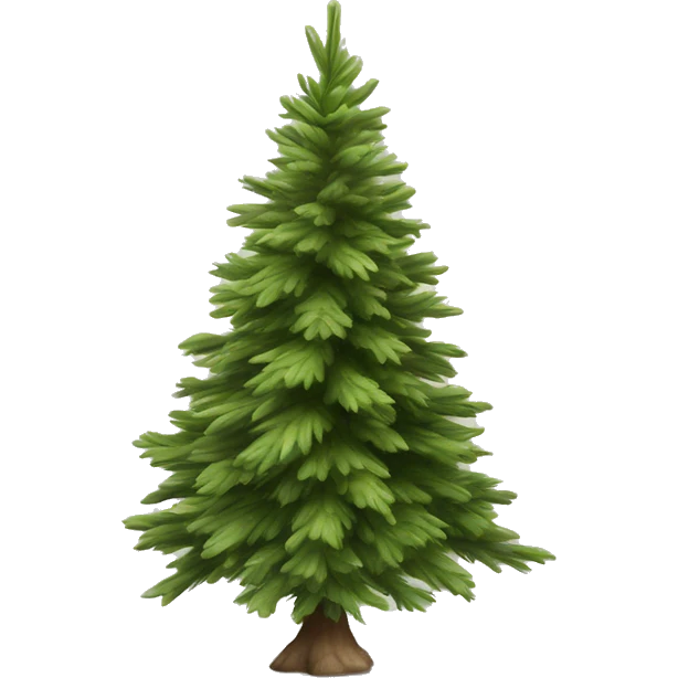 Realistic isolated off white fir christmas tree   emoji