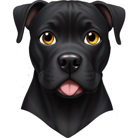 all black pitbull with opposit eyes emoji