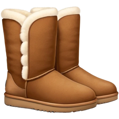 Pair of Ugg booots emoji