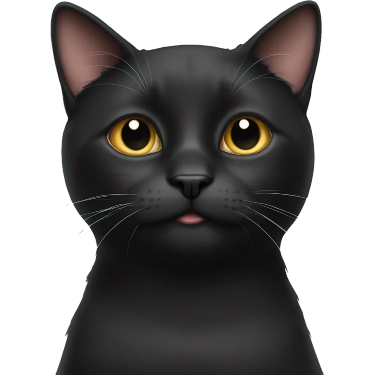 Black cat white chin  emoji