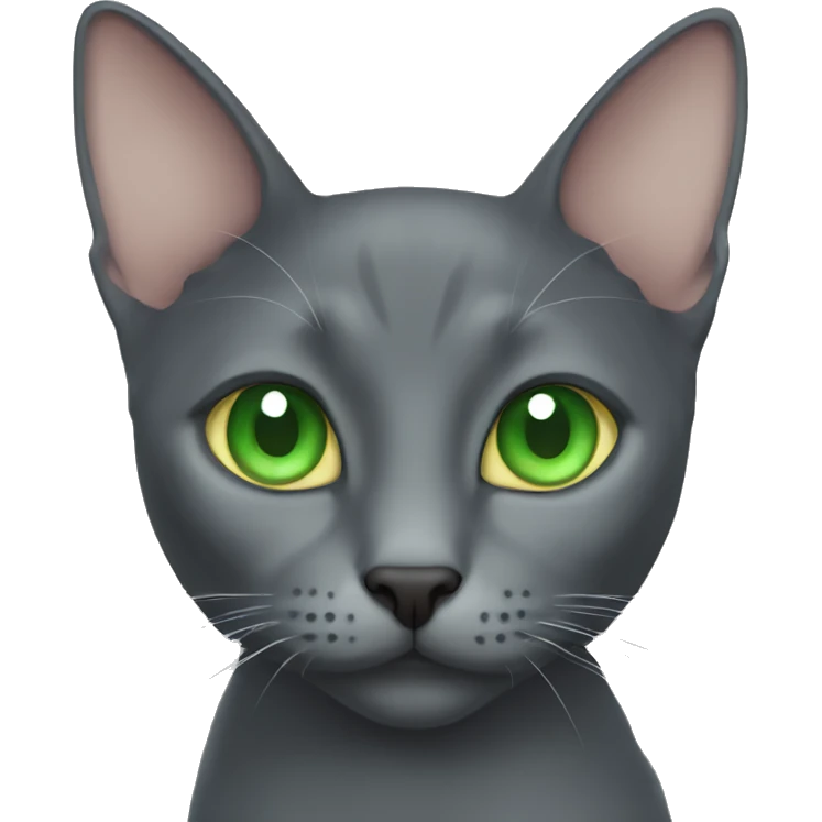 Korat cat with green eyes face emoji