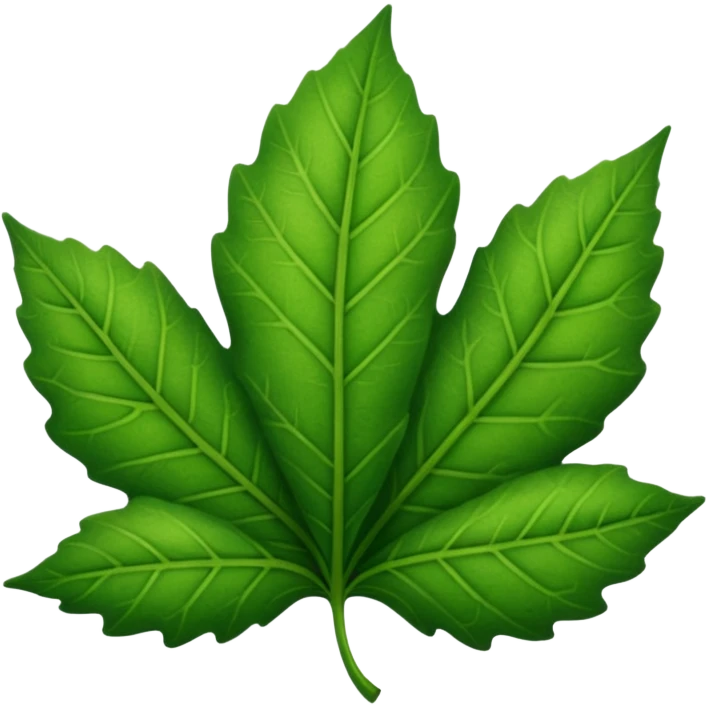 hoja fotografia emoji