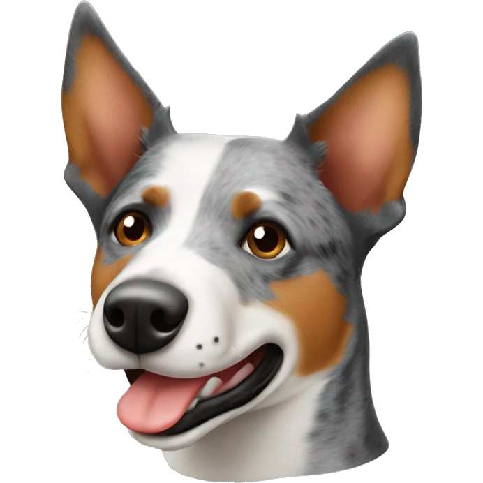 Australian cattle dog with tobasco emoji