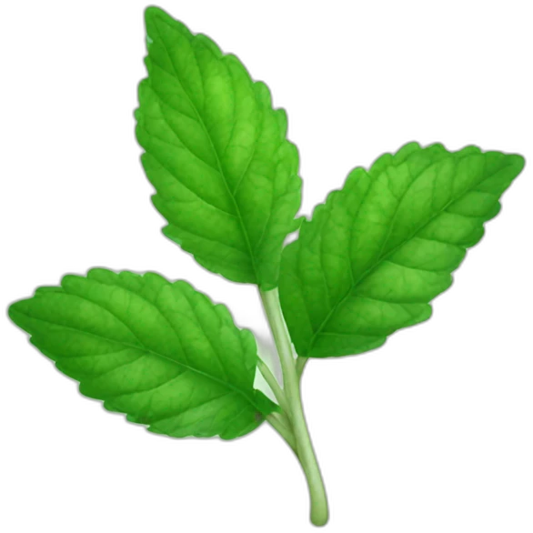 peppermint leaves emoji