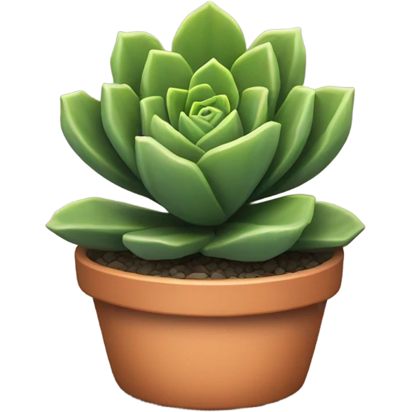 a succulent in a pot emoji