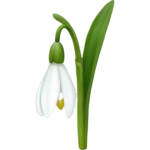snowdrop emoji