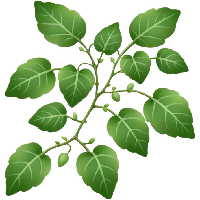 Silver dollar vine plant emoji