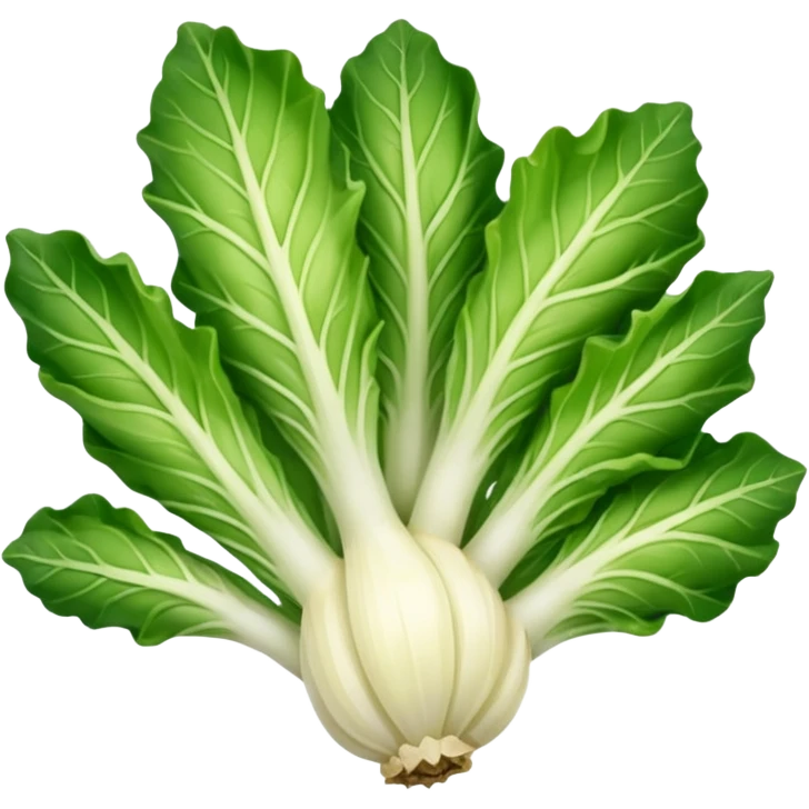 green blegian endive radicchio smooth emoji