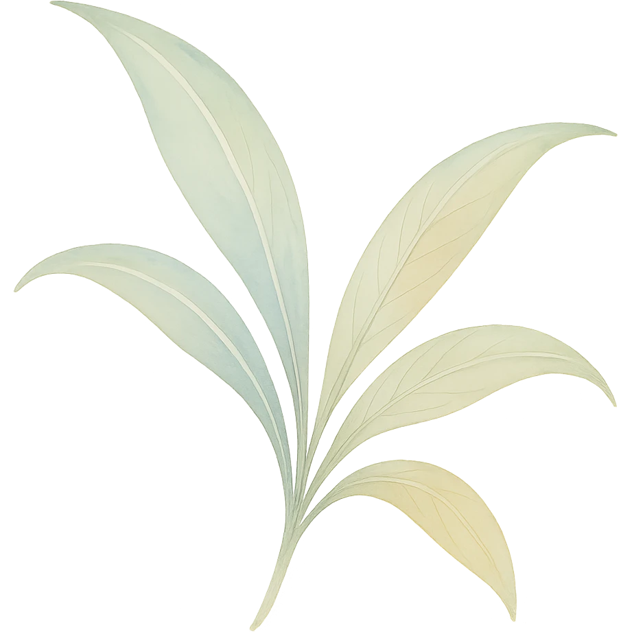 a spider plant leaf with visible veins, watercolor style, delicate brush strokes, soft colors, detailed veins emoji