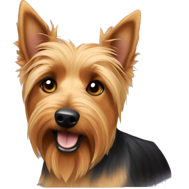 australian terrier dog  emoji