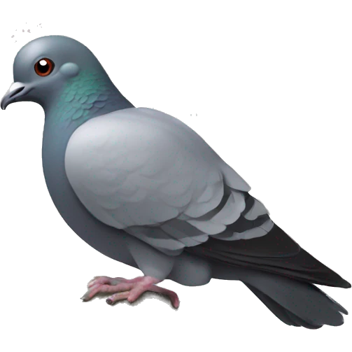 pigeon pondering an orb emoji