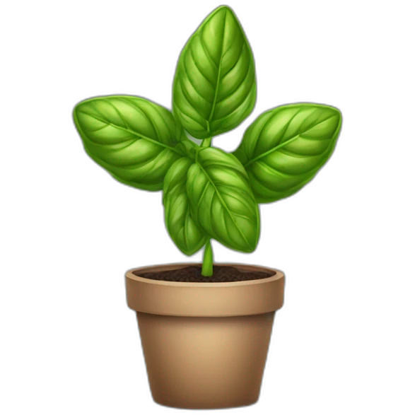 BASIL PLANT emoji