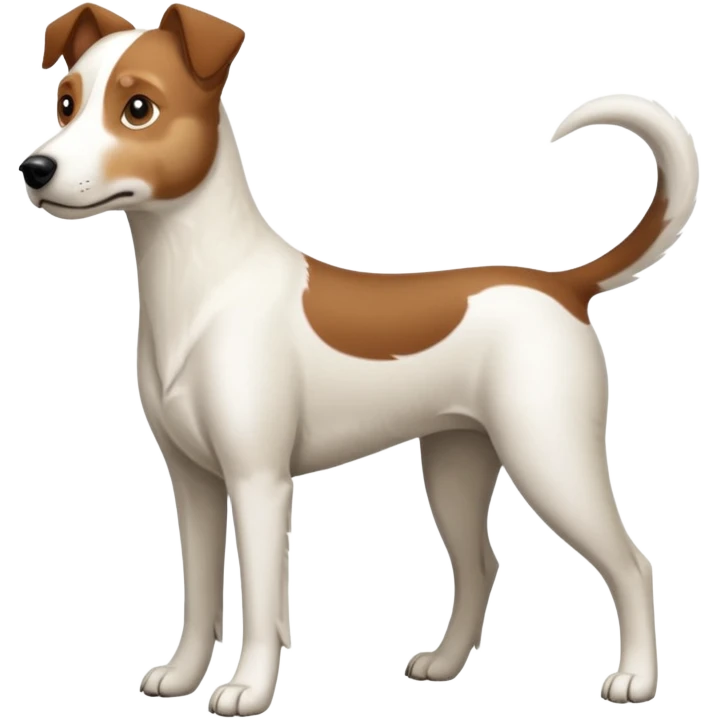 a full body large white parson russell looking dog the size of a kelpie with light brown ears and a light brown patch on one eye and a large snout emoji