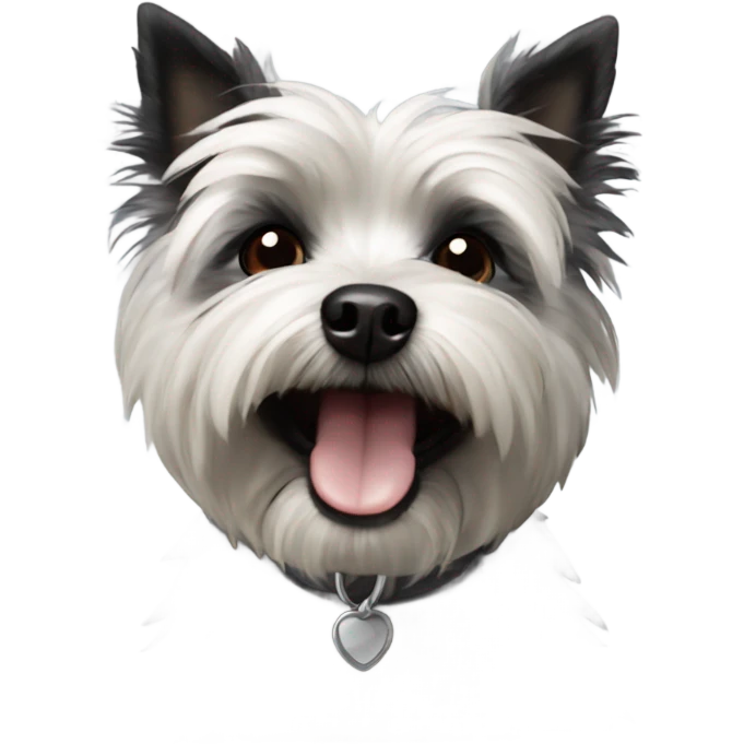 Happy black and white cairn terrier  emoji