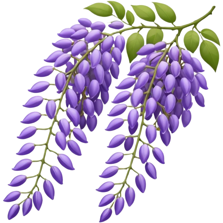 wisteria hanging blossoms emoji
