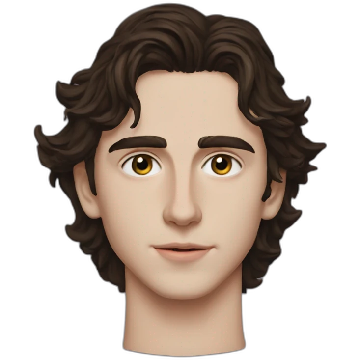 paul atreides timothe chalamet emoji