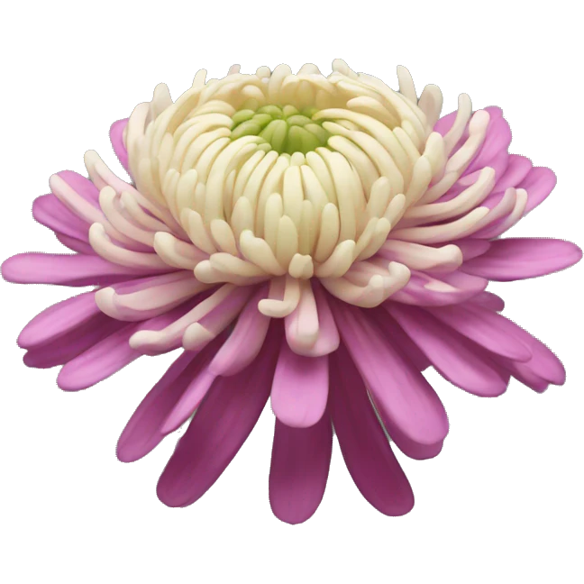 Chrysanthemum emoji