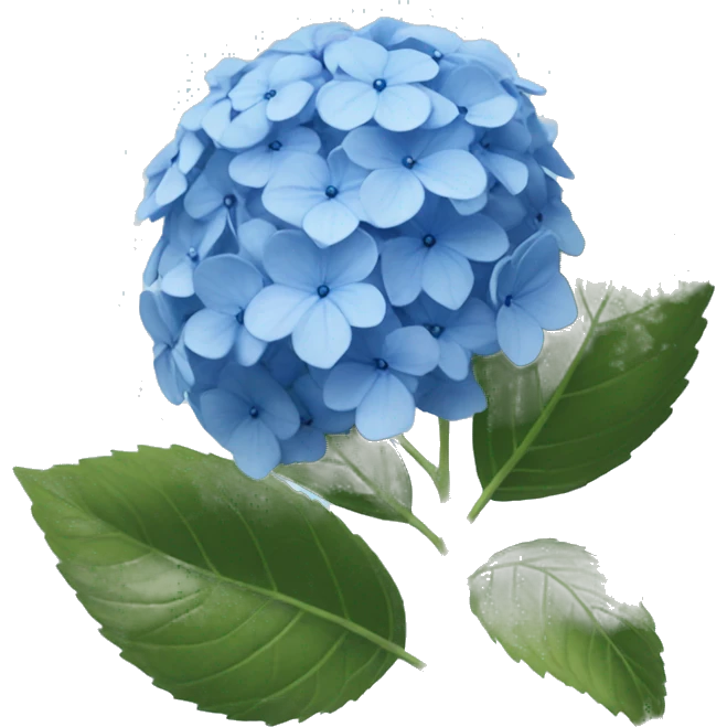 blue hydrangea  emoji