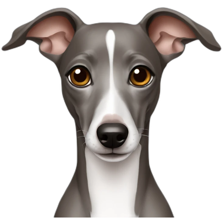 italian greyhound emoji