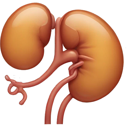 kidney with ureter emoji