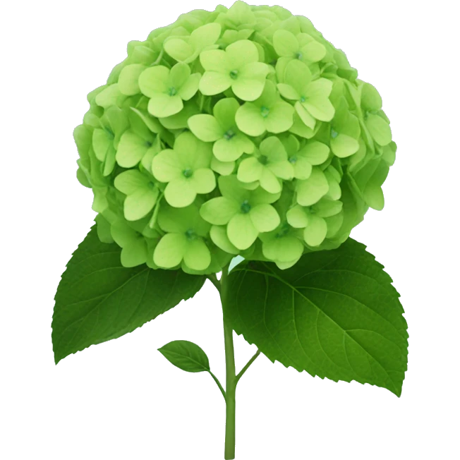 A green hydrangea emoji