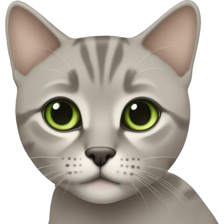 British short hair beige and grey with green eyes emoji