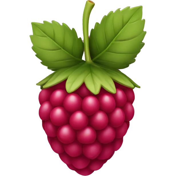 Raspberry  emoji
