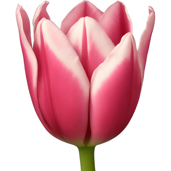 tulips emoji