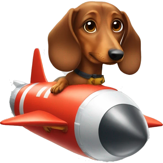 dachshund in the rocket emoji