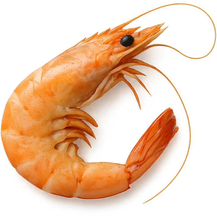 Shrimp emoji