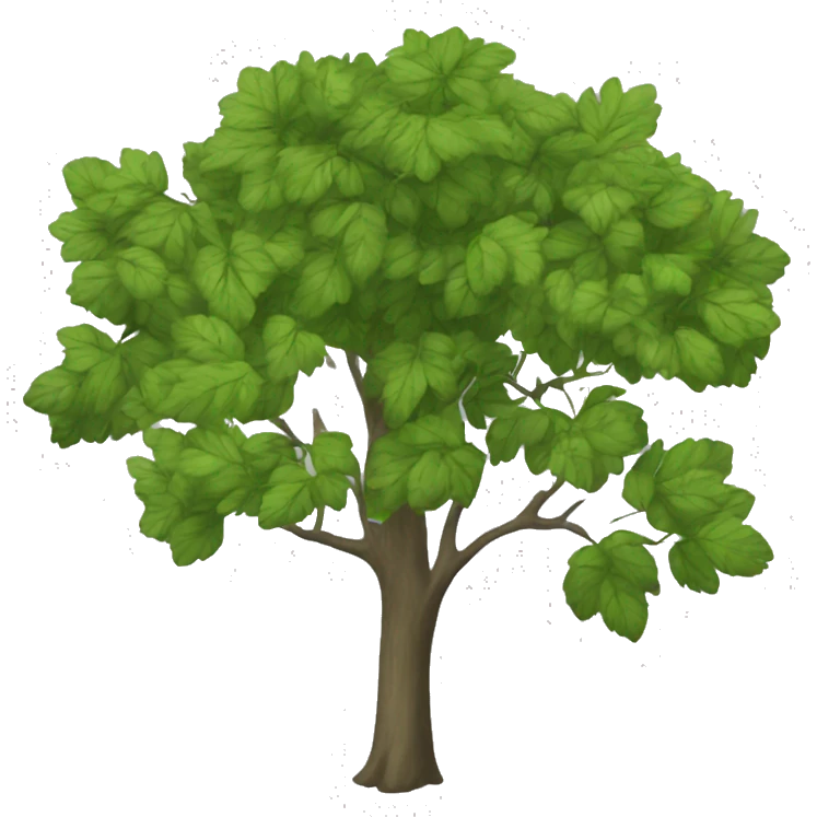 Boston celtis  emoji