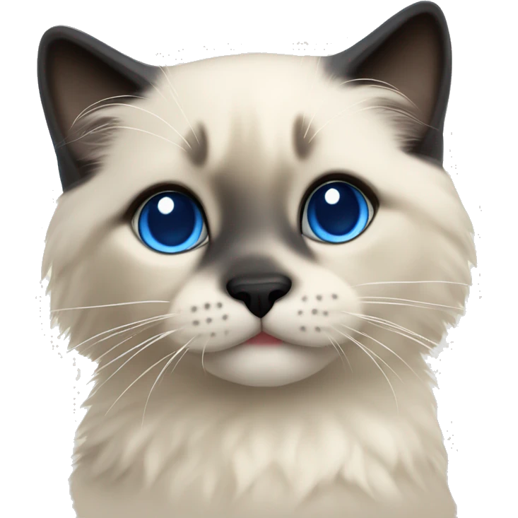 Seal colorpoint ragdoll kitten with dark blue eyes emoji