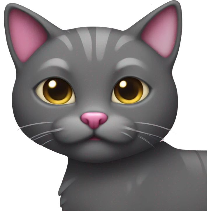 dark gray Shodlan fold cat with pink heart emoji