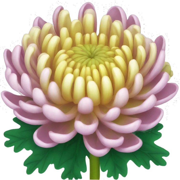 chrysanthemum  emoji