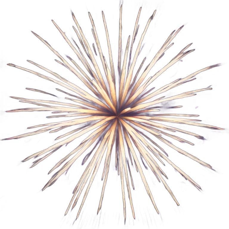 Fireworks emoji