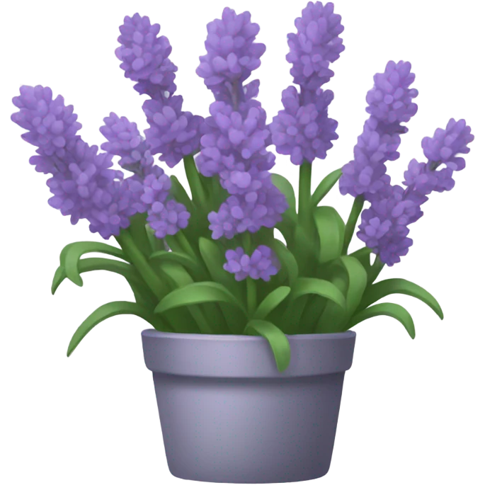Lavender  emoji
