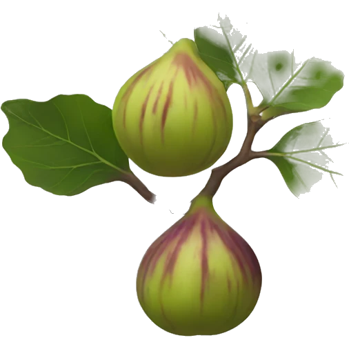 fig emoji