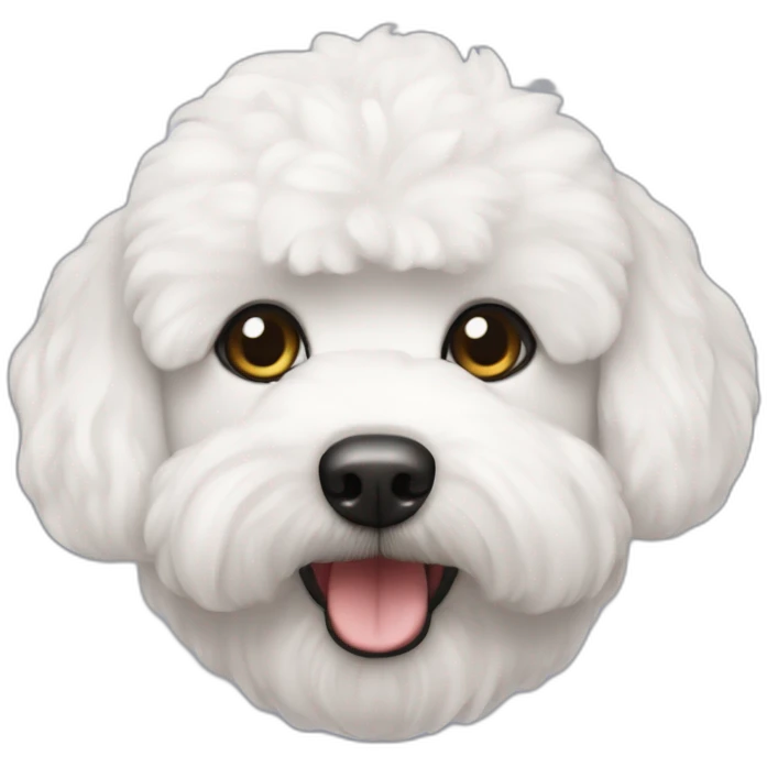 Bichon maltés con coleta emoji