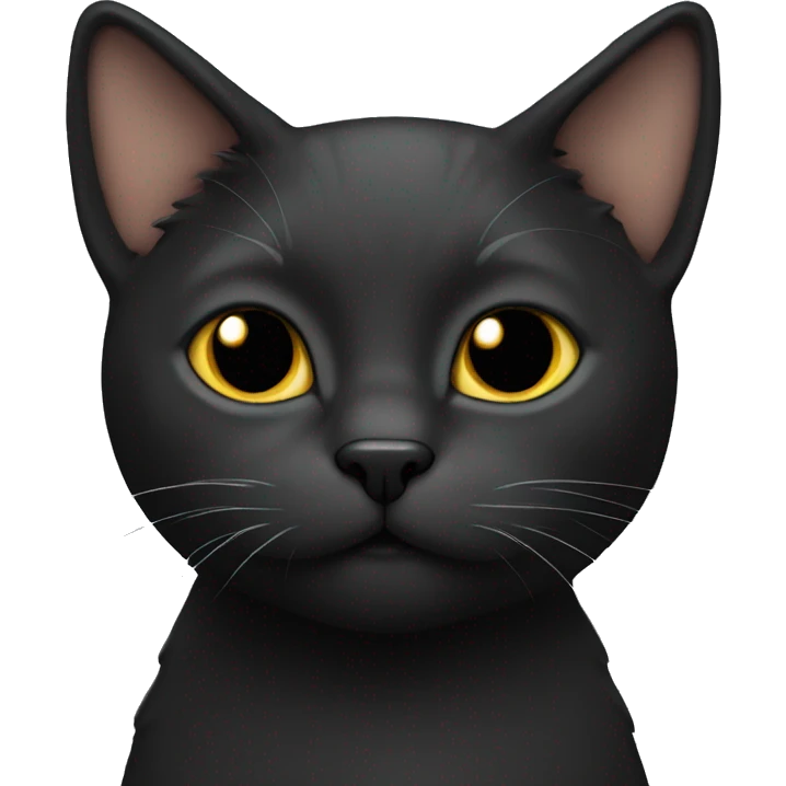 Cat that is black emoji