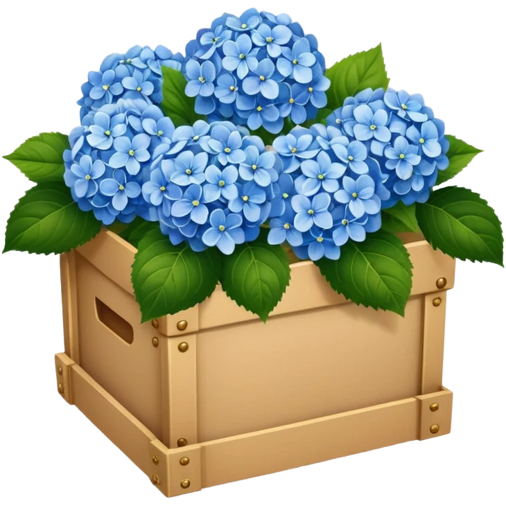 realistic hydrangeas in a box emoji