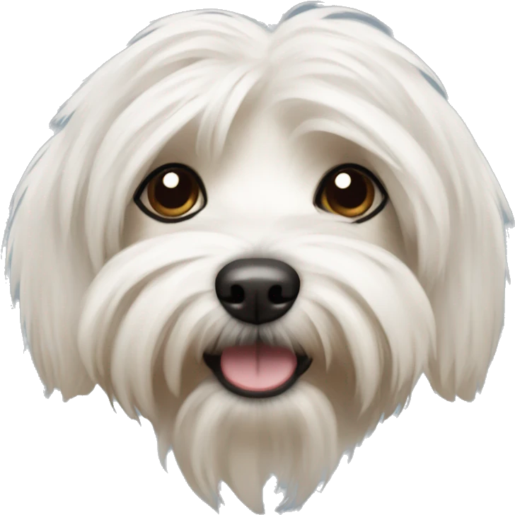 Havanese dog emoji