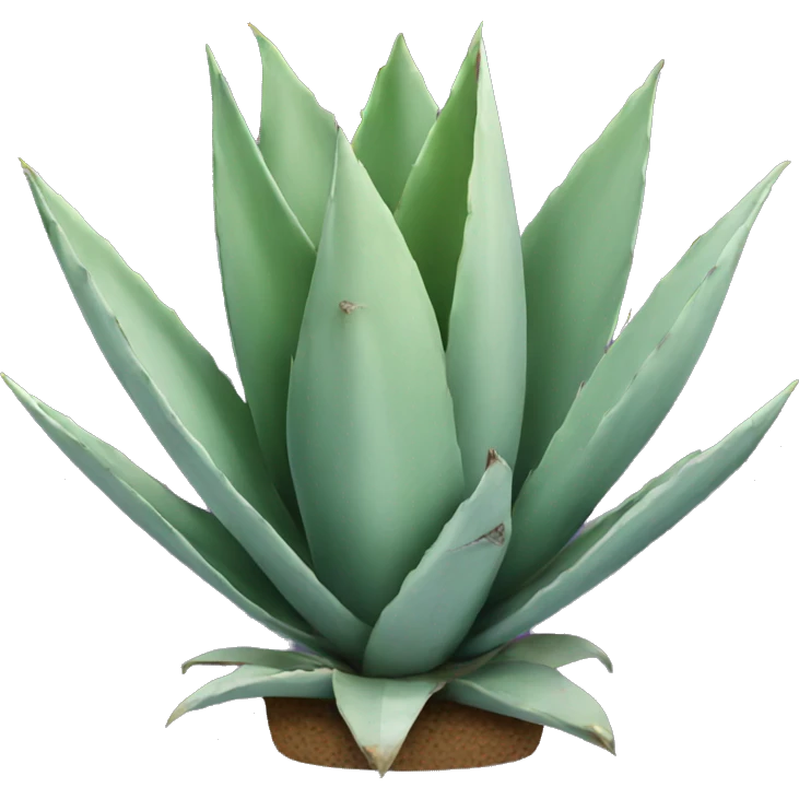 Agave  emoji