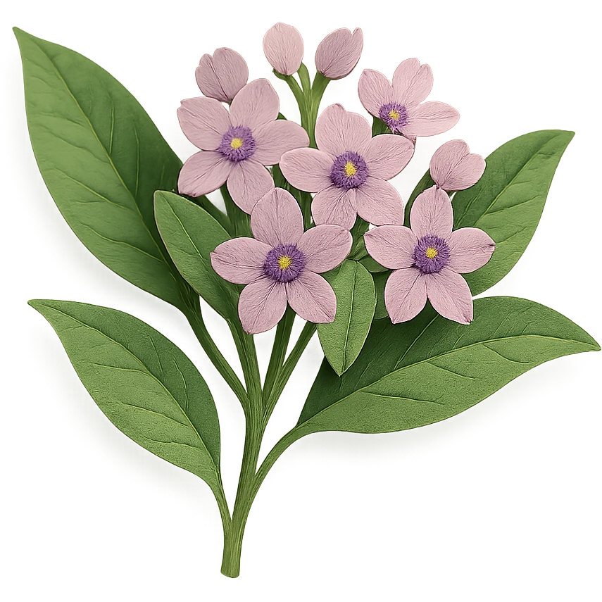 close-up of milkweed flowers, fine paper edges, delicate pink and purple blossoms, green foliage, paper craft style emoji