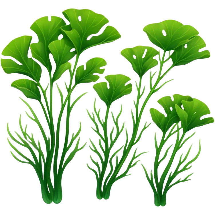 2-3 pair of green seaweed emoji