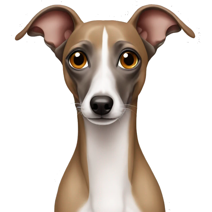 Italian greyhound emoji