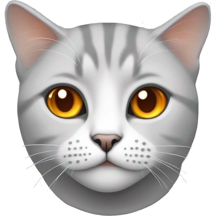 White and grey british cat with orange eyes emoji